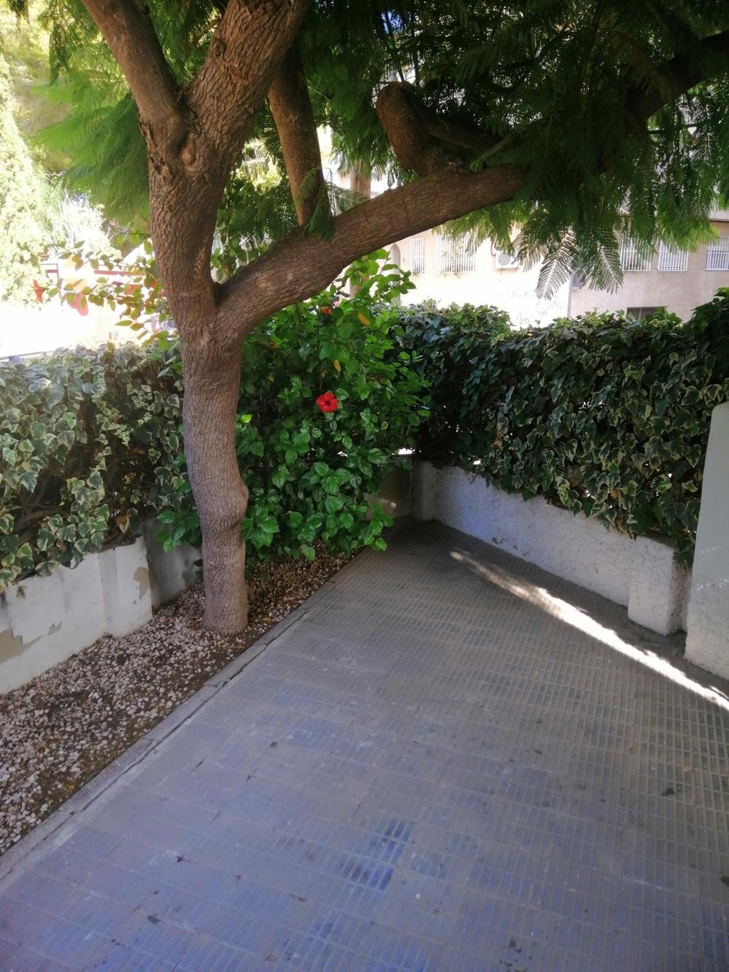Chalet II Con Jardin Y Wifi En La Playa San Pedro del Pinatar Zewnętrze zdjęcie